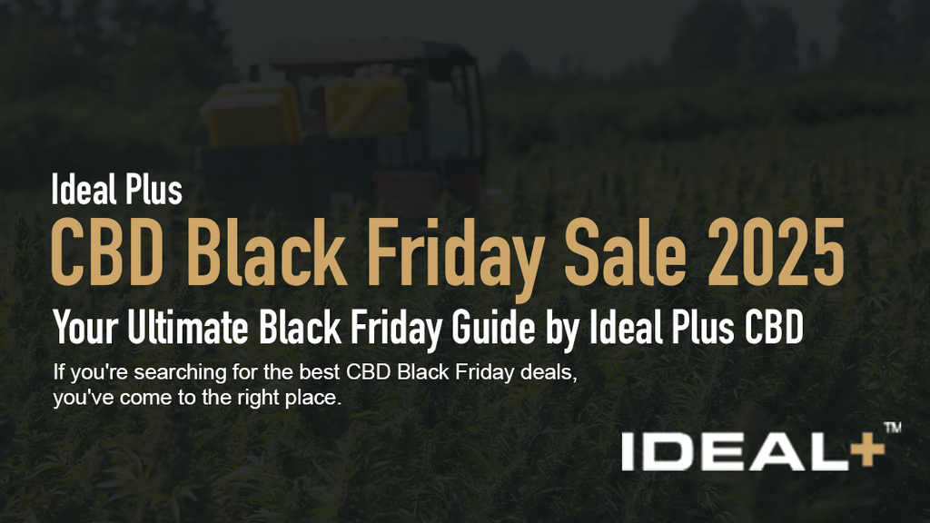 CBD Black Friday Sale 2025 - Your Ultimate Black Friday Guide by Ideal Plus CBD
