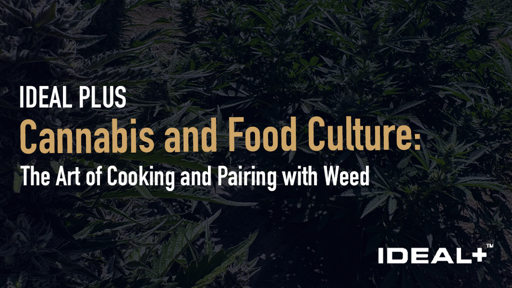 Discover art of cooking with THCA hemp flower — from decarboxylating THCA hemp and making cannabutter to terpene-based food pairings and THCA infused recipes. 