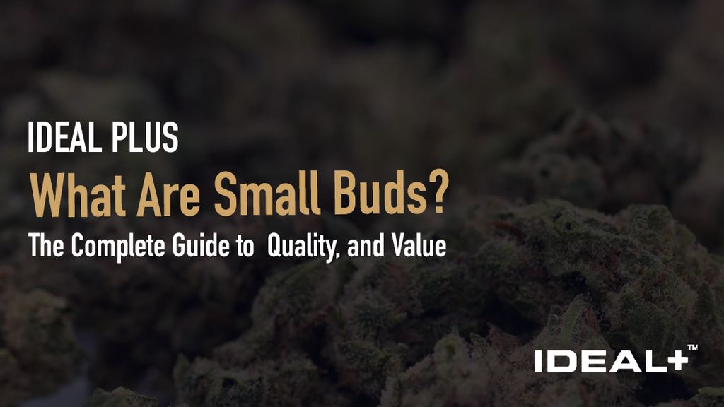 What Are Small Buds?