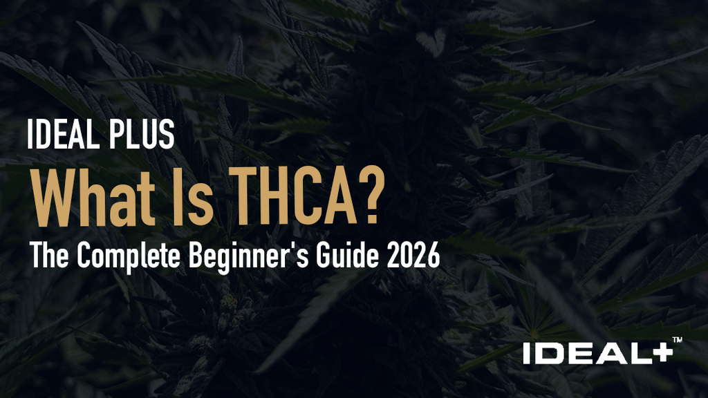 THCA is the natural precursor to THC found in raw hemp. Learn what THCA means, how it works, and why it's the most talked-about cannabinoid of 2026.