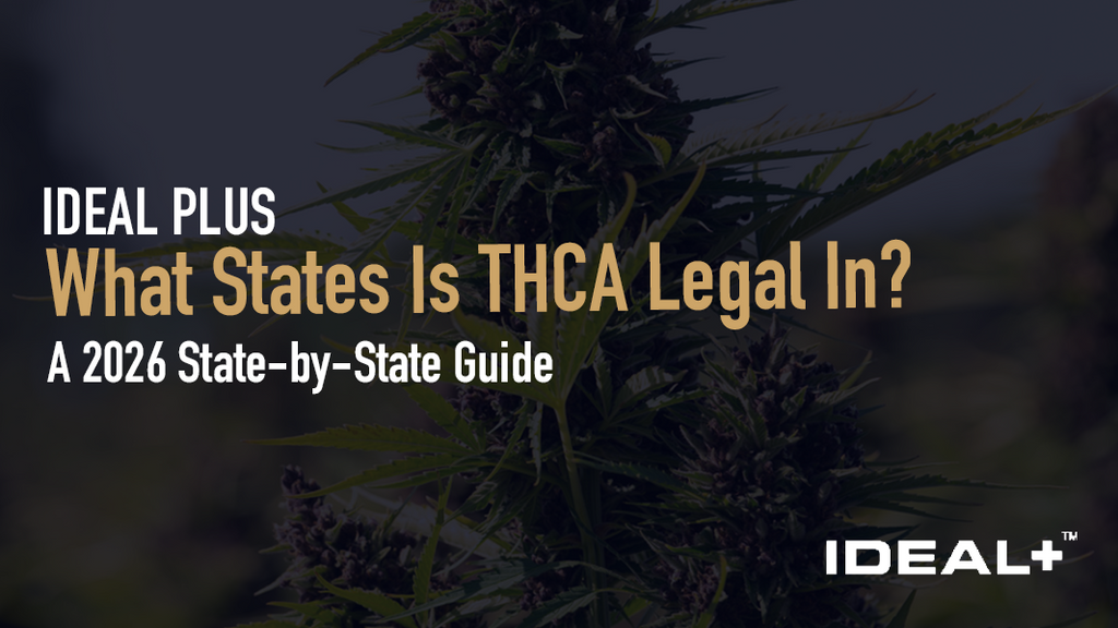 Find out which states allow hemp-derived THCA flower, which have banned it in updated state-by-state guide with shipping laws and COA tips.