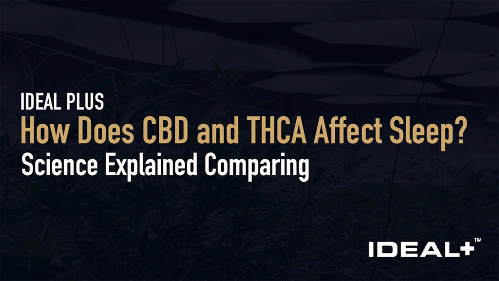 How Does CBD and THCA Affect Sleep?
