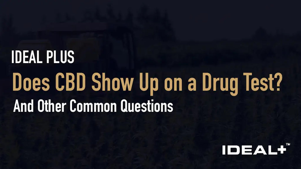 Does CBD Show Up on a Drug Test? (And Other Common Questions)