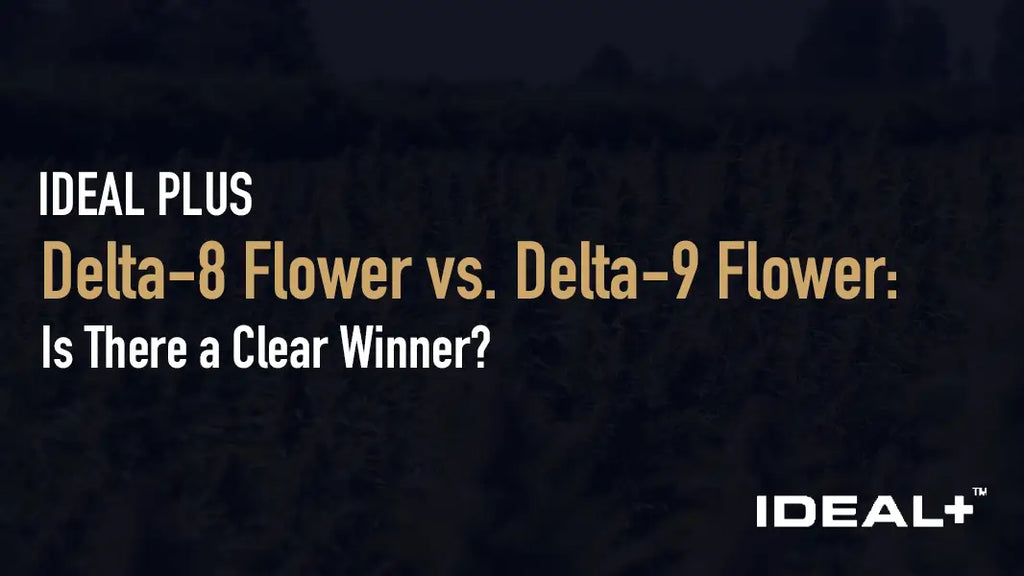 Delta-8 Flower vs. Delta-9 Flower: Is There a Clear Winner?