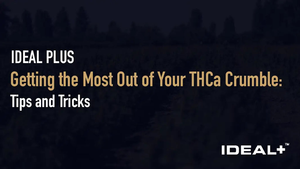 Getting the Most Out of Your THCa Crumble: Tips and Tricks