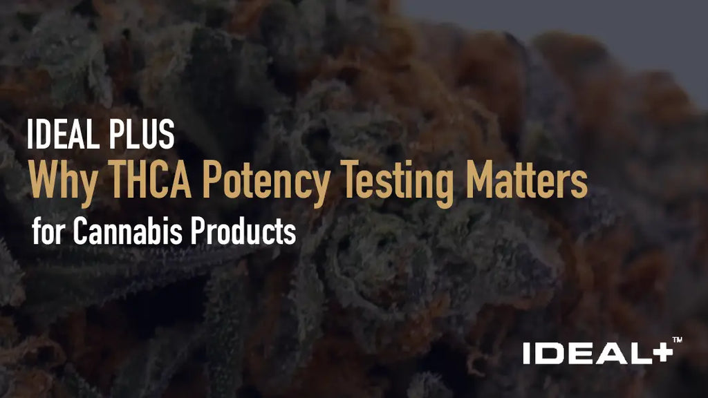 Why THCA Potency Testing Matters 