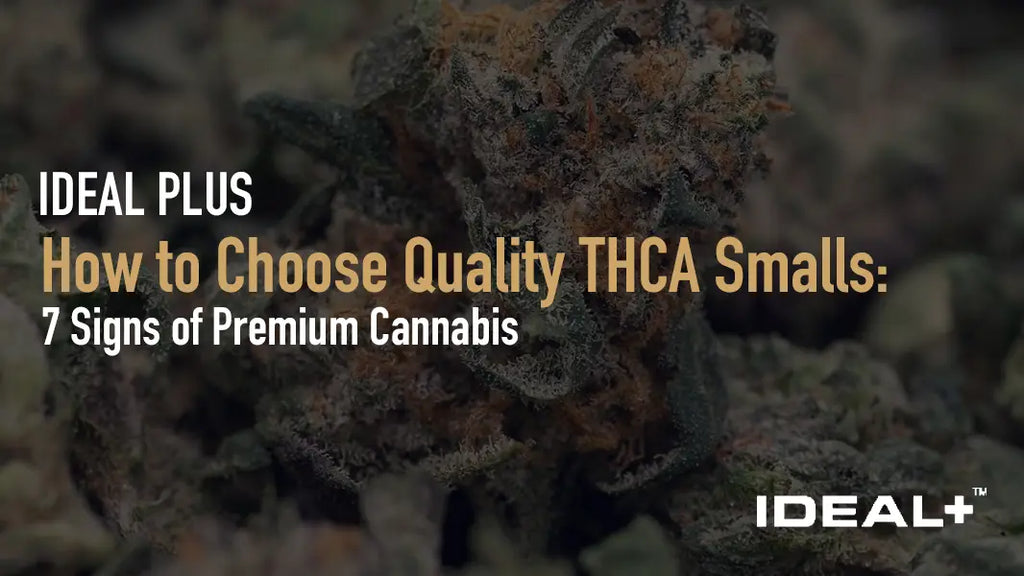 How to Choose Quality THCA Smalls