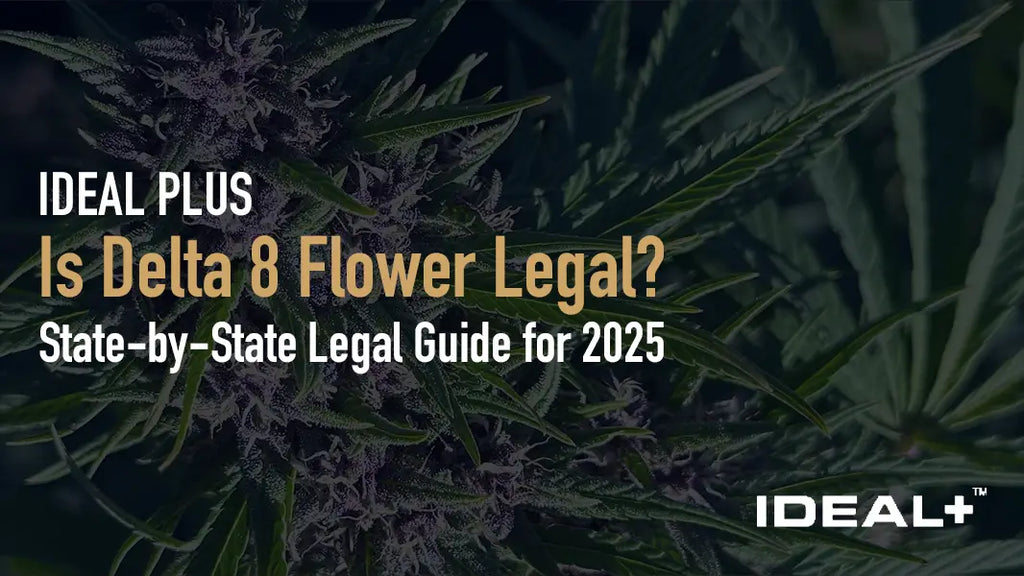 Is Delta 8 Flower Legal? 