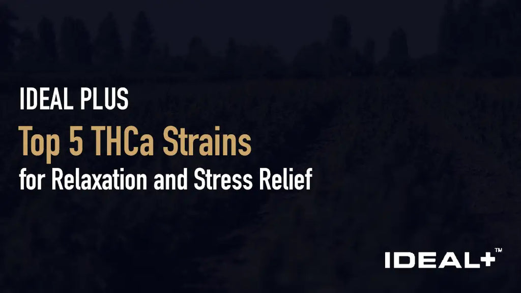 Top 5 THCa Strains for Relaxation and Stress Relief