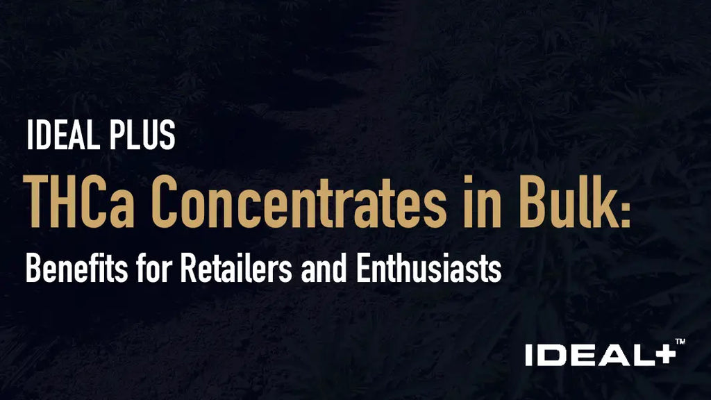 THCa Concentrates in Bulk: Benefits for Retailers and Enthusiasts