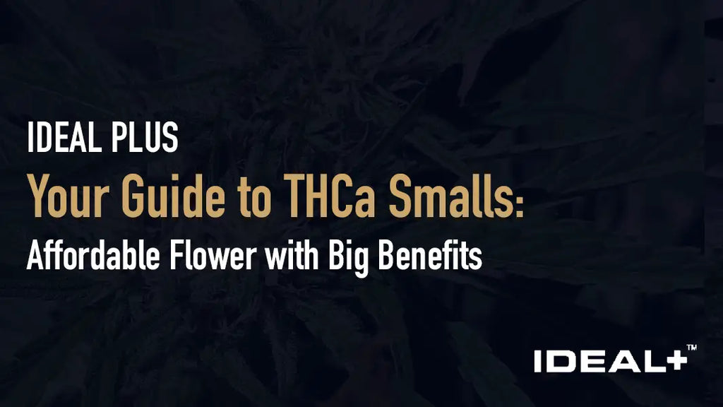 Your Guide to THCa Smalls: Affordable Flower with Big Benefits