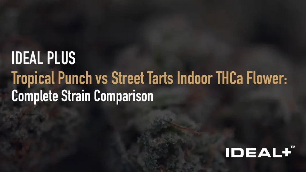 Tropical Punch vs Street Tarts