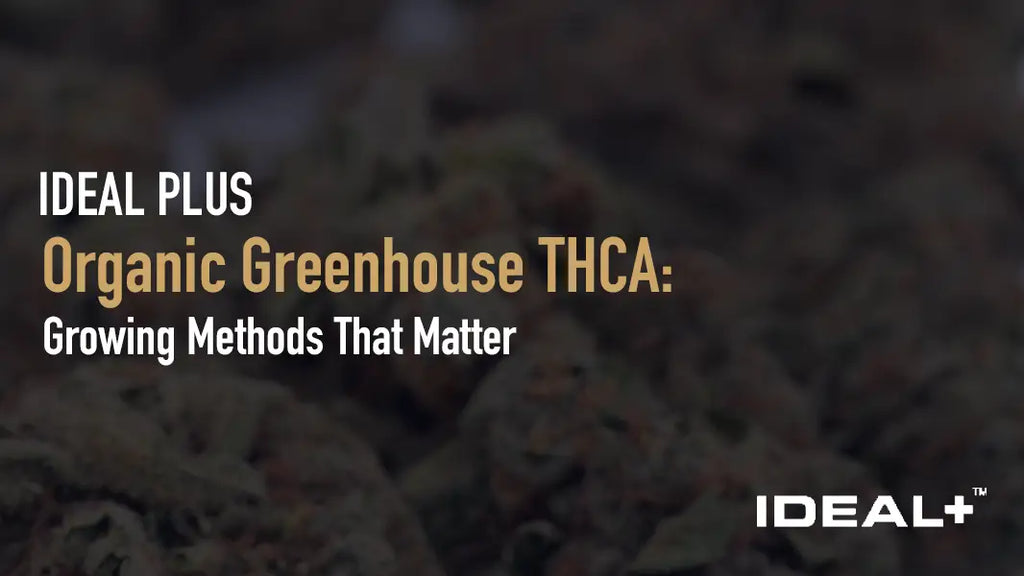 Organic Greenhouse THCA