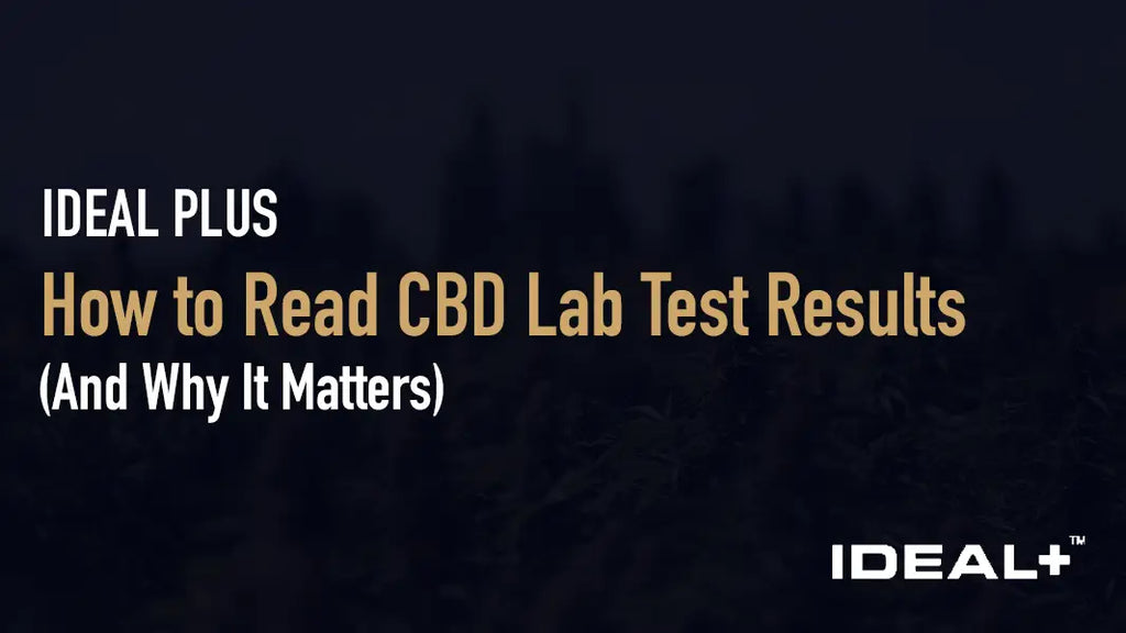 How to Read CBD Lab Test Results (And Why It Matters)