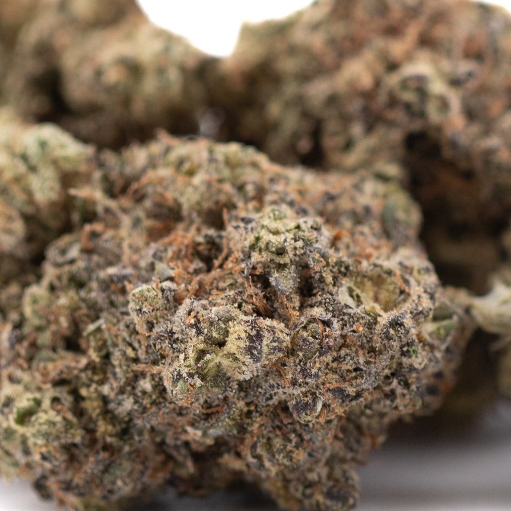 Black Amber Indoor THCa Flower Wholesale