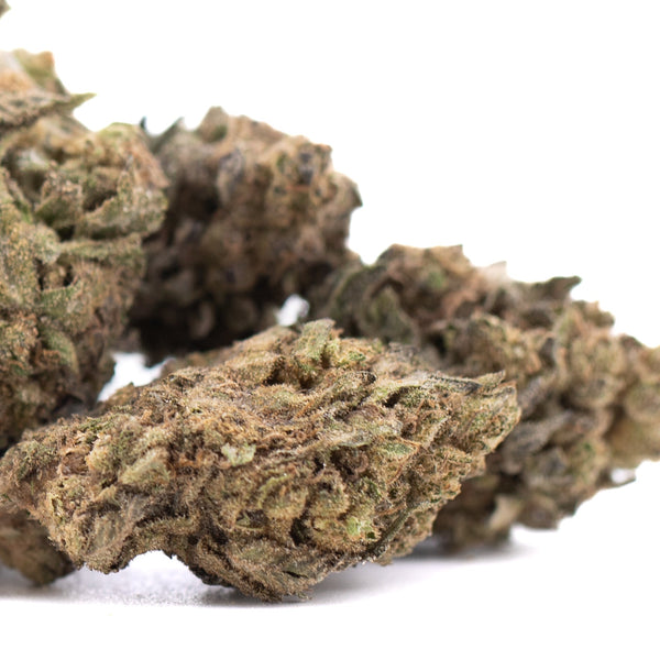 Cherry Truffle THCa Hemp Flower Greenhouse Wholesale