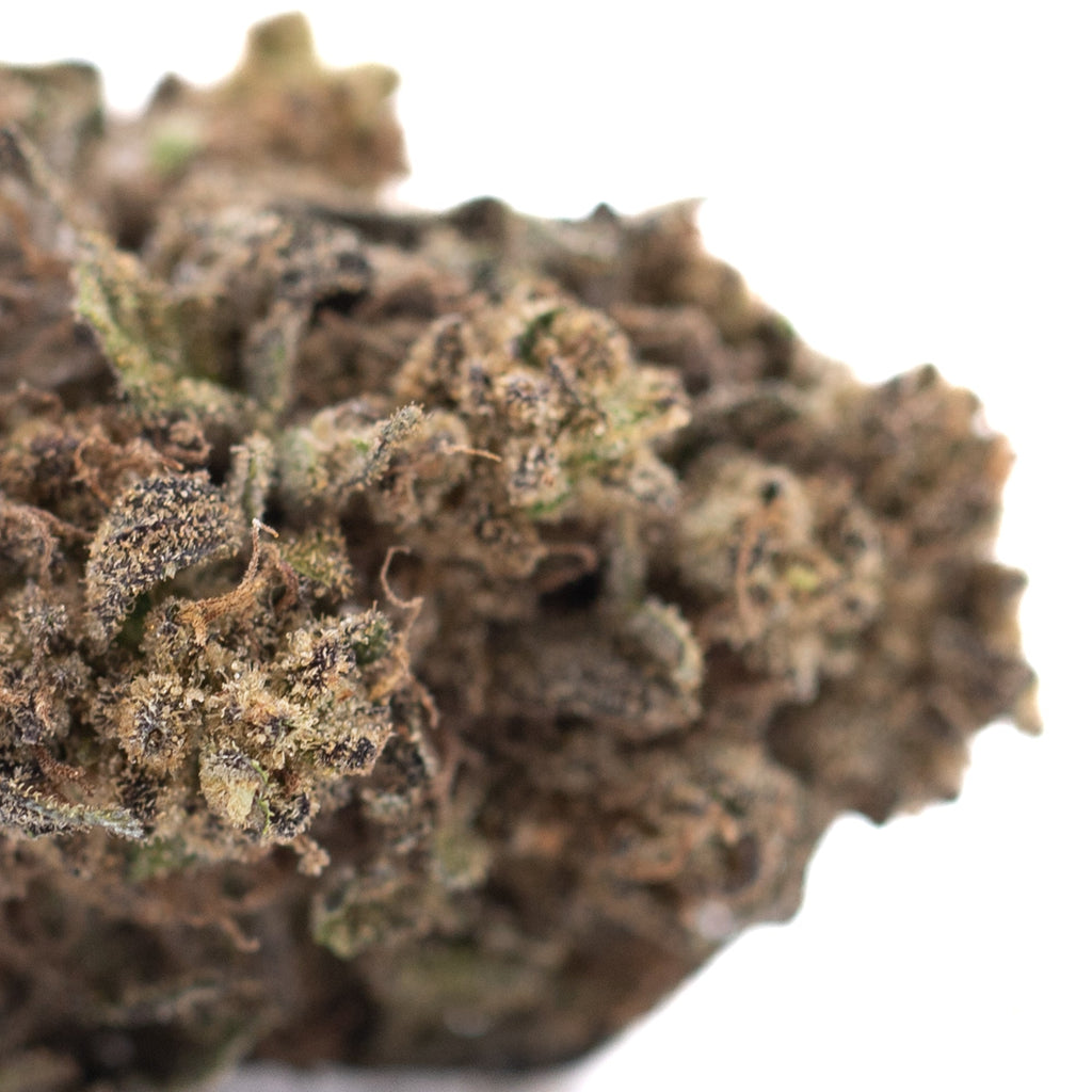 Cherry Truffle THCa Hemp Flower Greenhouse