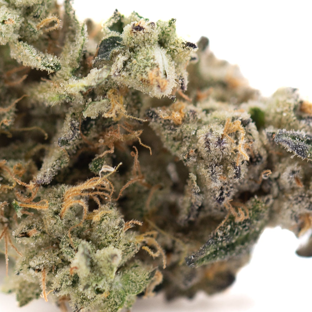 Fornicate Indoor THCa Flower