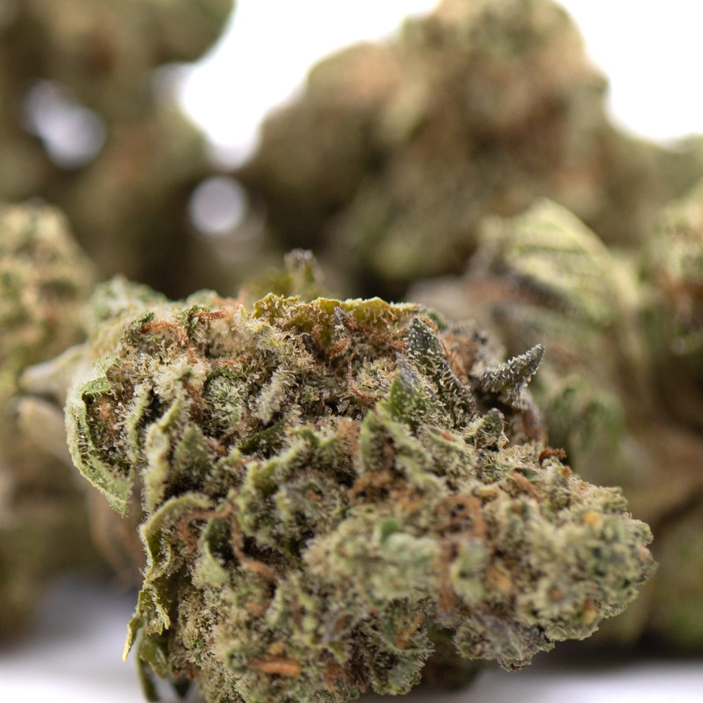 Gelato THCa Greenhouse Smalls Wholesale