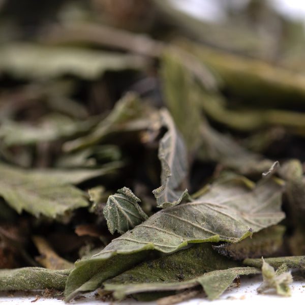 Gelato Greenhouse THCa Trim Wholesale