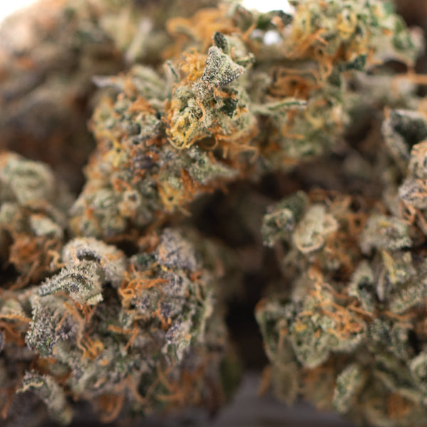 Orange Sumo Indoor THCa Flower