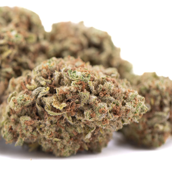 Pure Kush THCa Hemp Flower Greenhouse