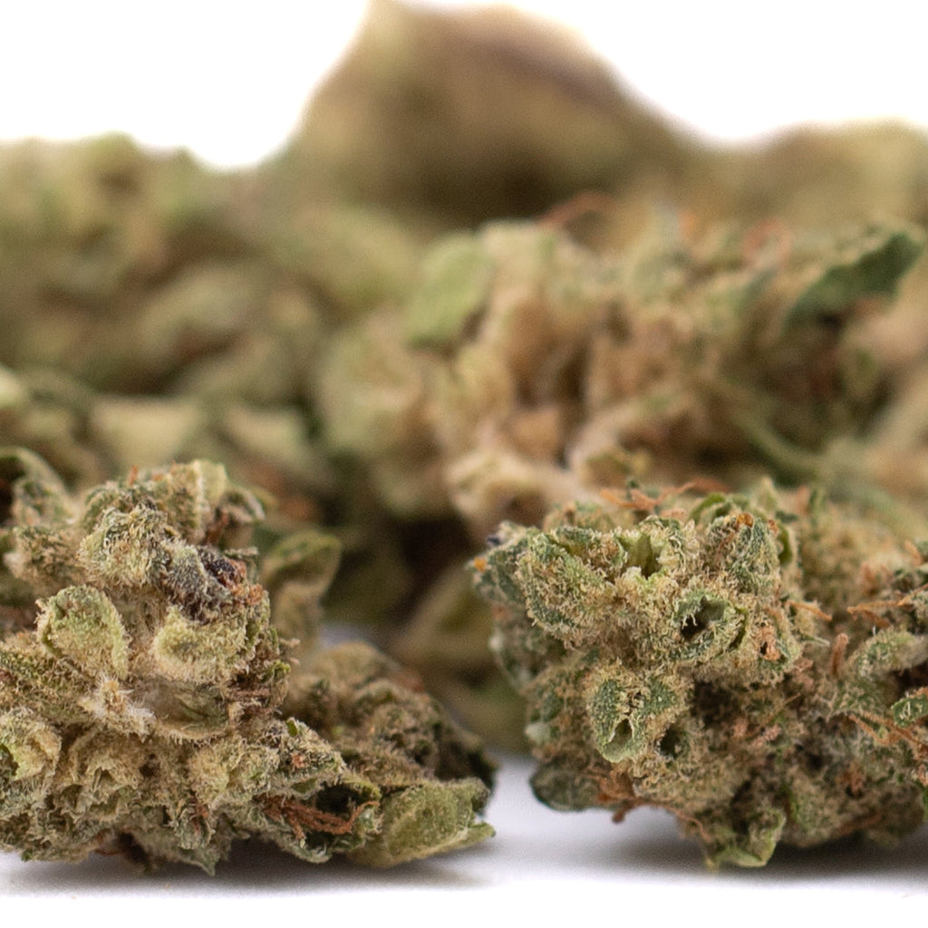 Sour Chem CBD Hemp Flower Smalls Full-Term Wholesale