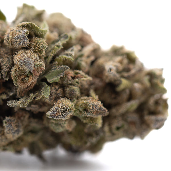 Strawberry Cheesecake THCa Flower Full-Term