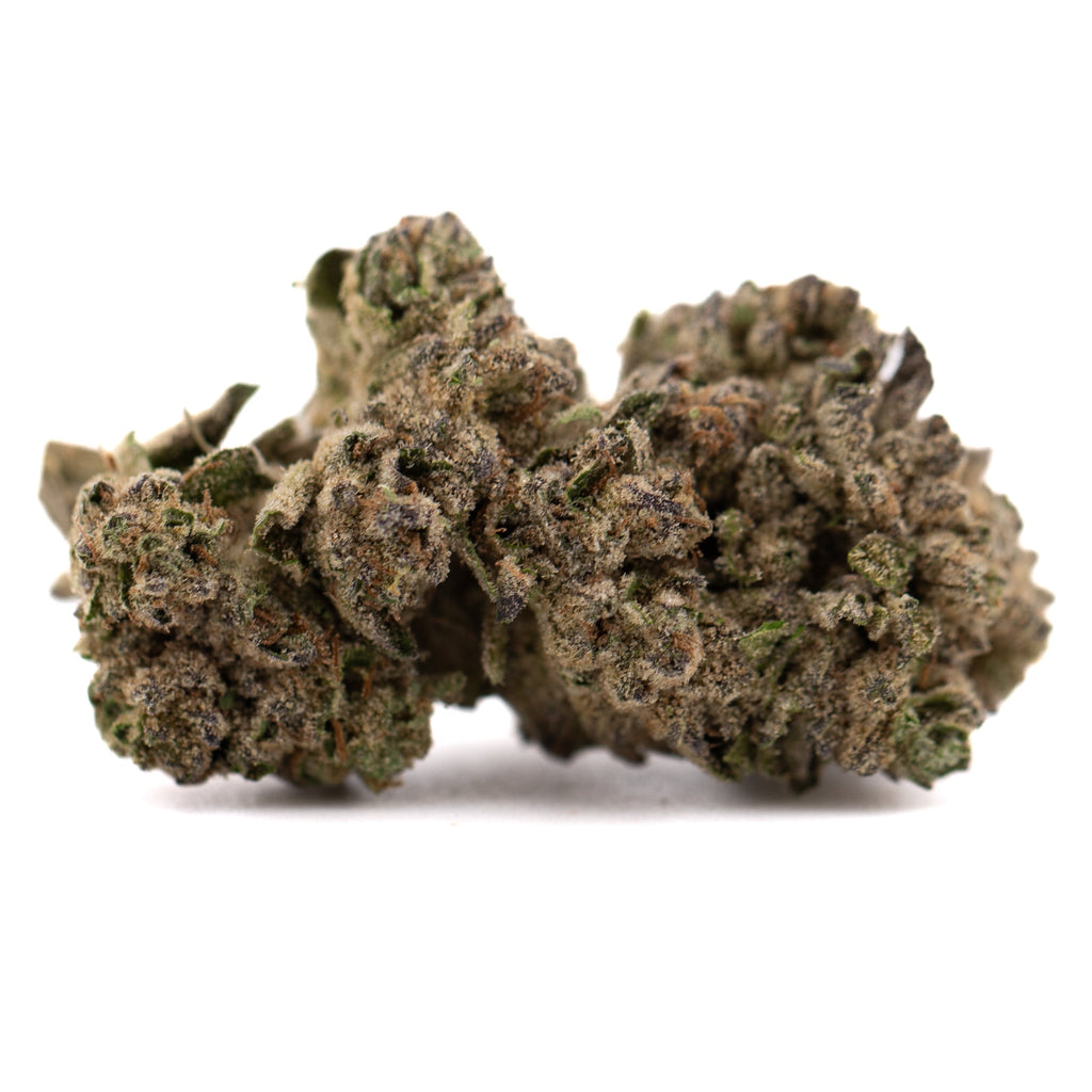 Premium Gush Mints THCa flower with trichome-decorated dark buds