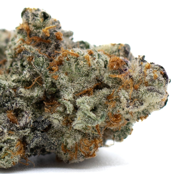 Dense cannabis bud of Astroboy Indoor THCa Flower showcasing premium quality hemp flower