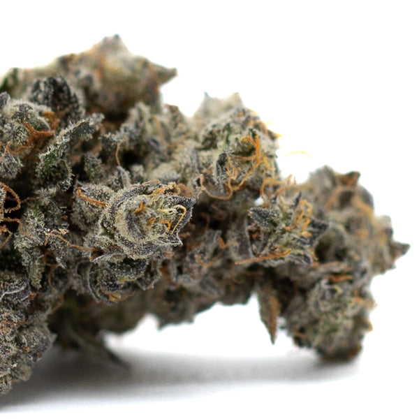 Dense Butter OG Indoor THCa Flower with glistening trichomes and vibrant green buds