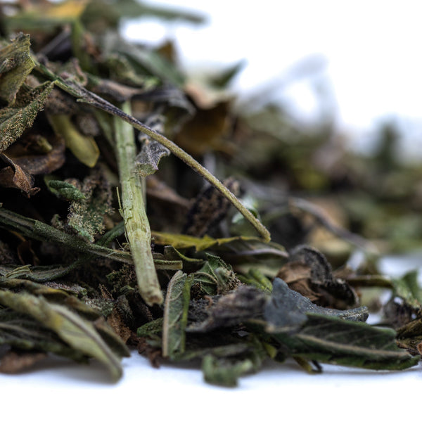 Dried green tea leaves with stems from Cali Burger west coast hemp flower trim