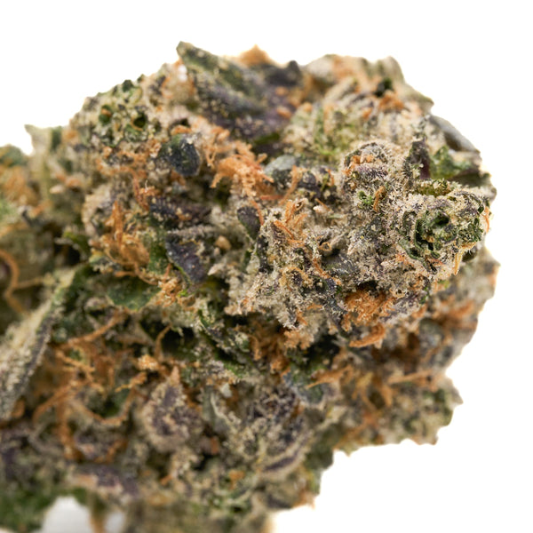 Dense Candy Rain THCa Flower bud showcasing abundant trichomes and rich texture