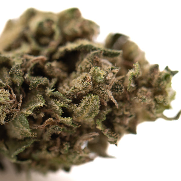 Cola THCa Flower Full-Term