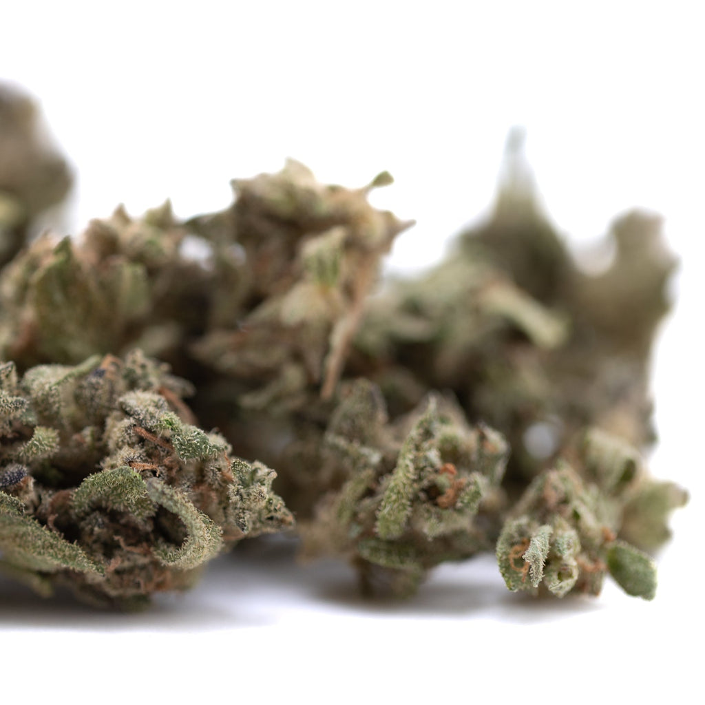 Premium Cream Caramel THCa Flower Smalls with dense trichomes