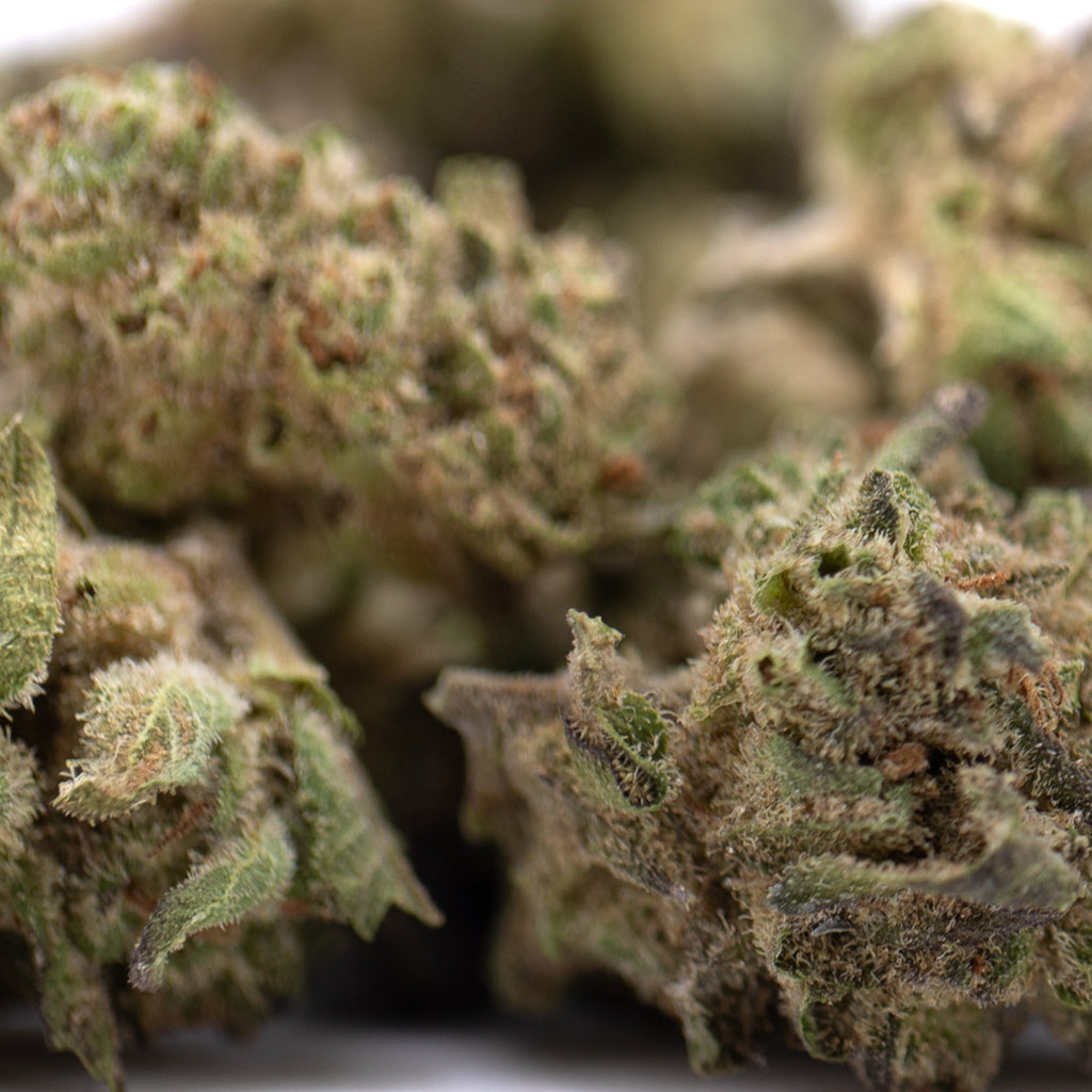 Premium Deep Space THCa hemp flower bud with trichomes