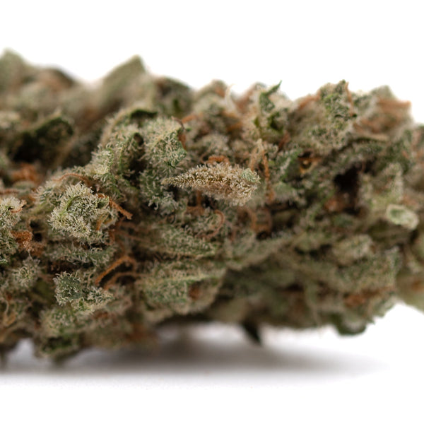 Fog Dog organic THCa flower bud with green hues and trichomes
