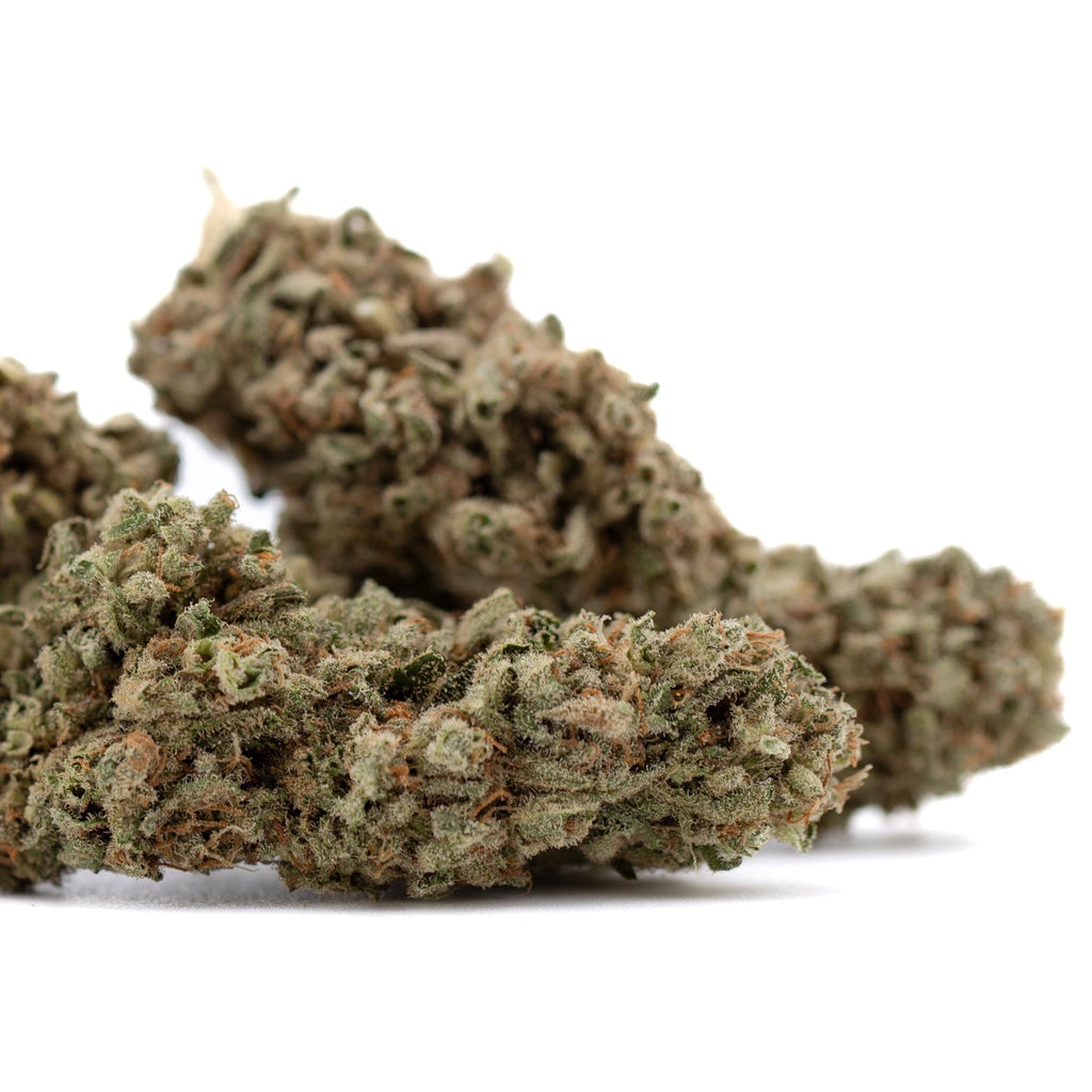 Premium Fog Dog THCa Flower Cotton Candy bud with dense trichomes