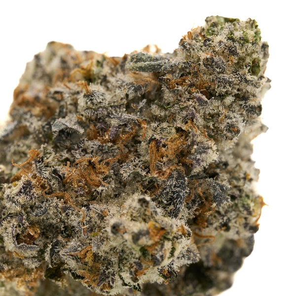 Dense Frosted Runtz Indoor THCa Flower bud showcasing abundant trichomes