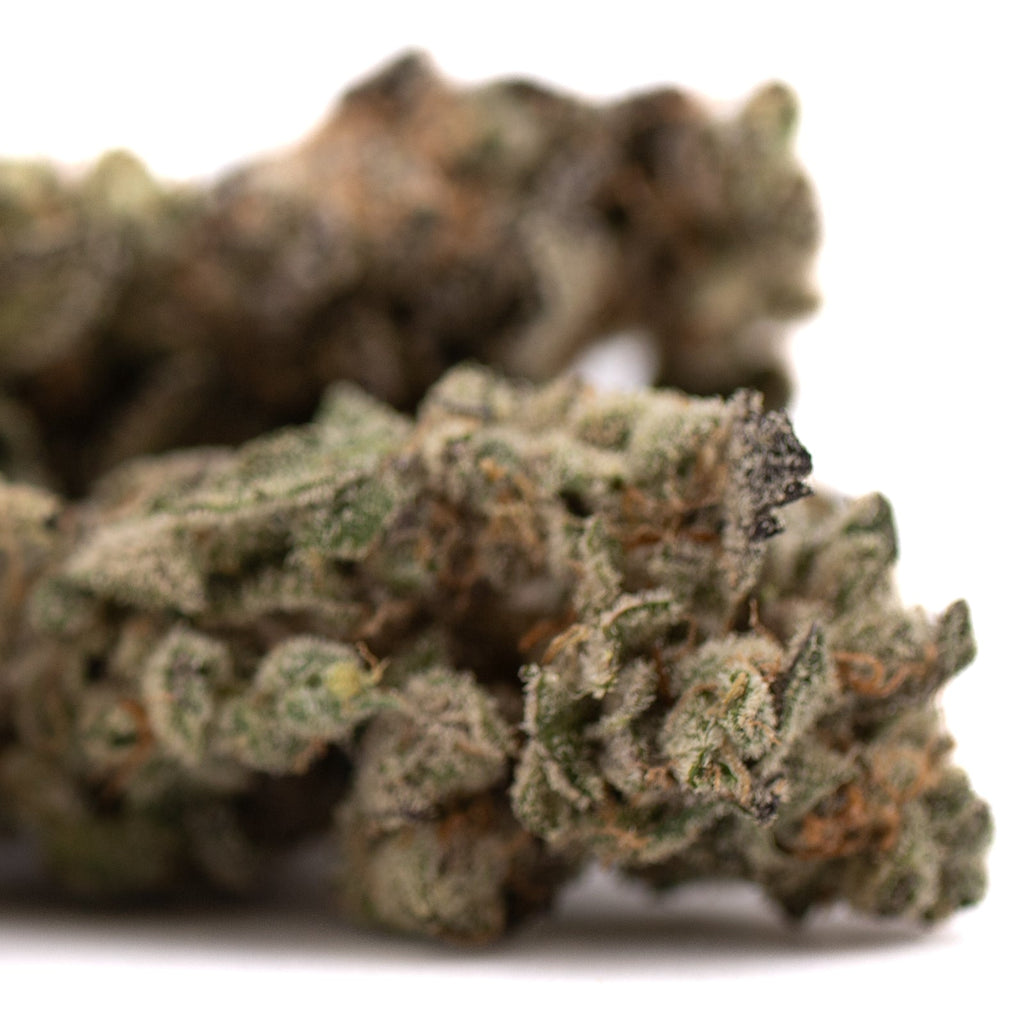 Dense Garlic OG’s THCA Flower hemp flower buds for wholesale displayed in the image