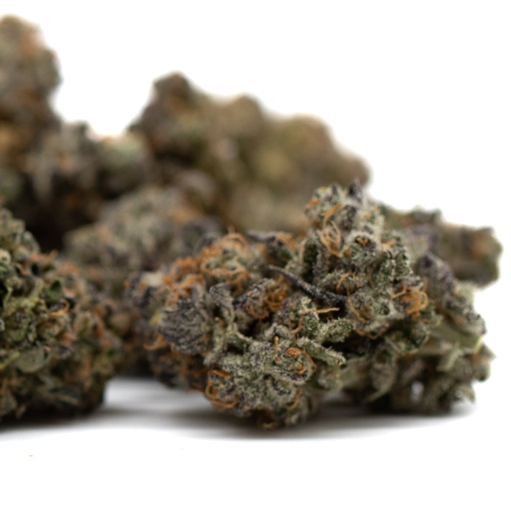 Dried indoor THCA flower with green purple and orange hues covered in trichomes