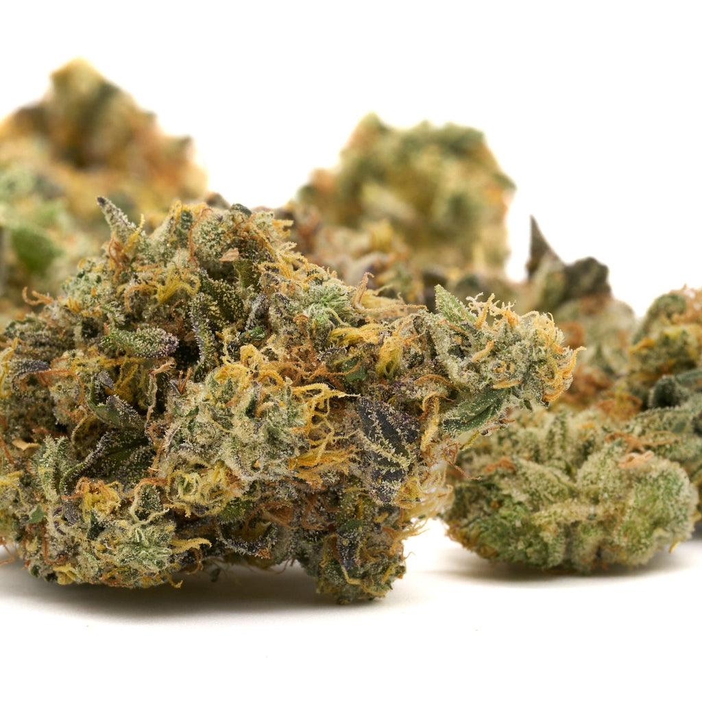 Dense cannabis buds with trichomes in GMO Indoor THCa Flower product showcase