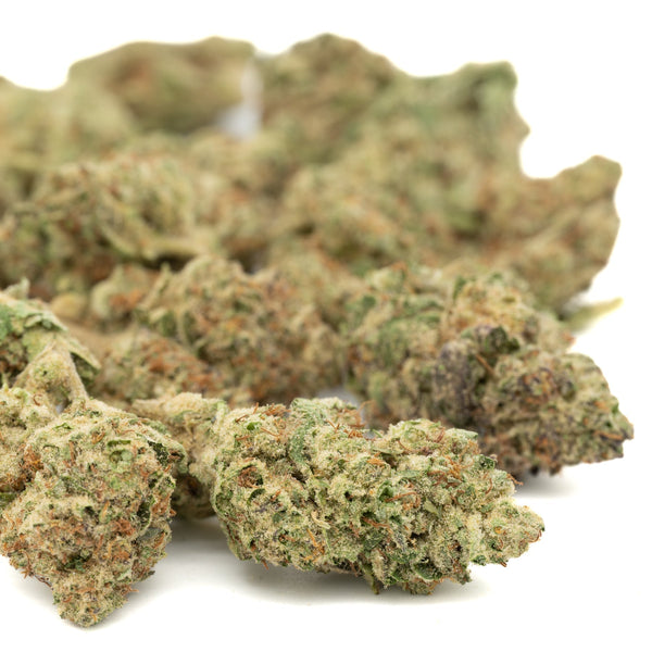 GMO THCa Hemp Flower Greenhouse - Plants