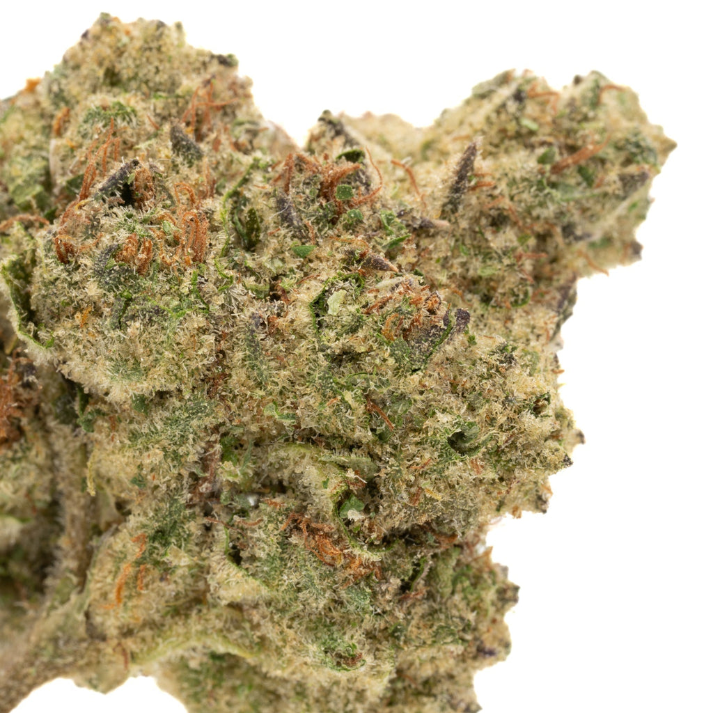 GMO THCa Hemp Flower Greenhouse - Plants