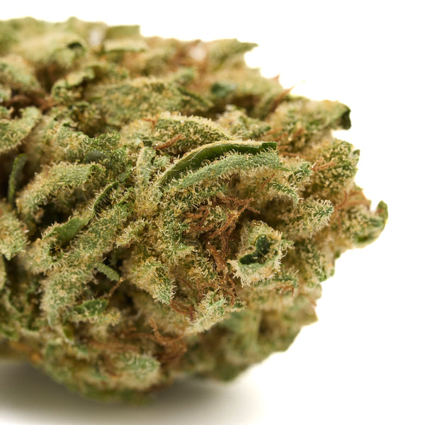 Dense Gorilla Glue THCa Hemp Flower bud for wholesale in greenhouse-grown quality