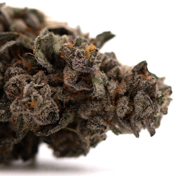 Dense Guava Z Indoor THCa Flower showcasing premium cannabis trichomes