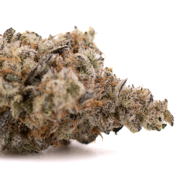 Dense Jelly Breath indoor THCa Flower bud with trichomes from Orchard Swirl