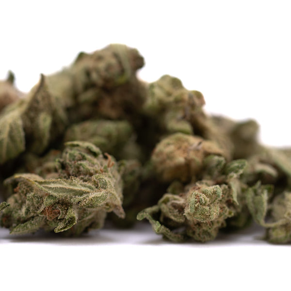 Premium Jelly Donut THCa Flower Smalls with trichomes