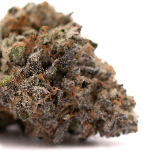 Jokerz Candy hemp flower with orange hairs and frosty trichomes, premium THCa flower