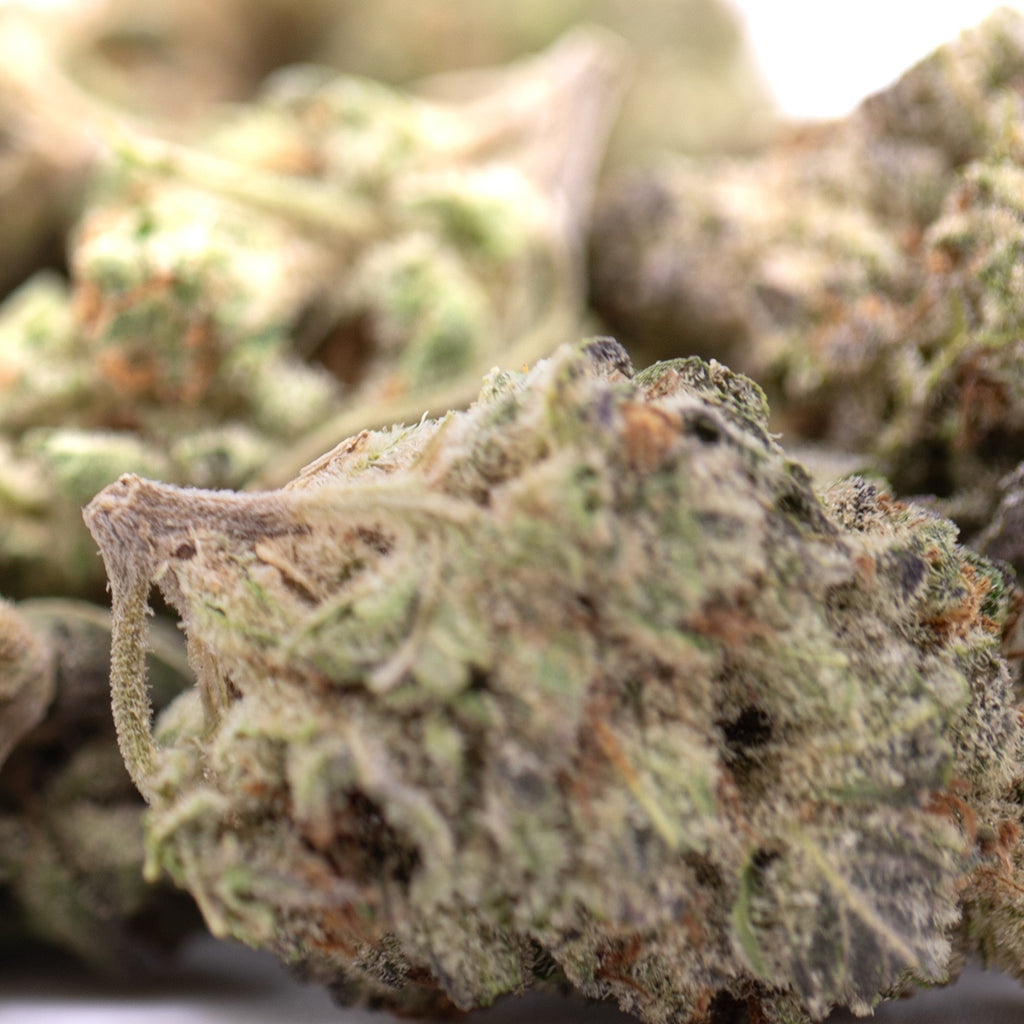 Jokerz Candy THCa hemp flower bud with green orange hues and trichomes